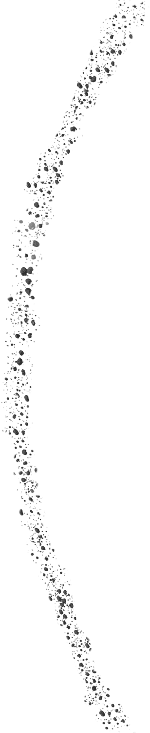 asteroids